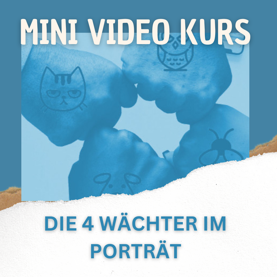 Mini Video Kurs